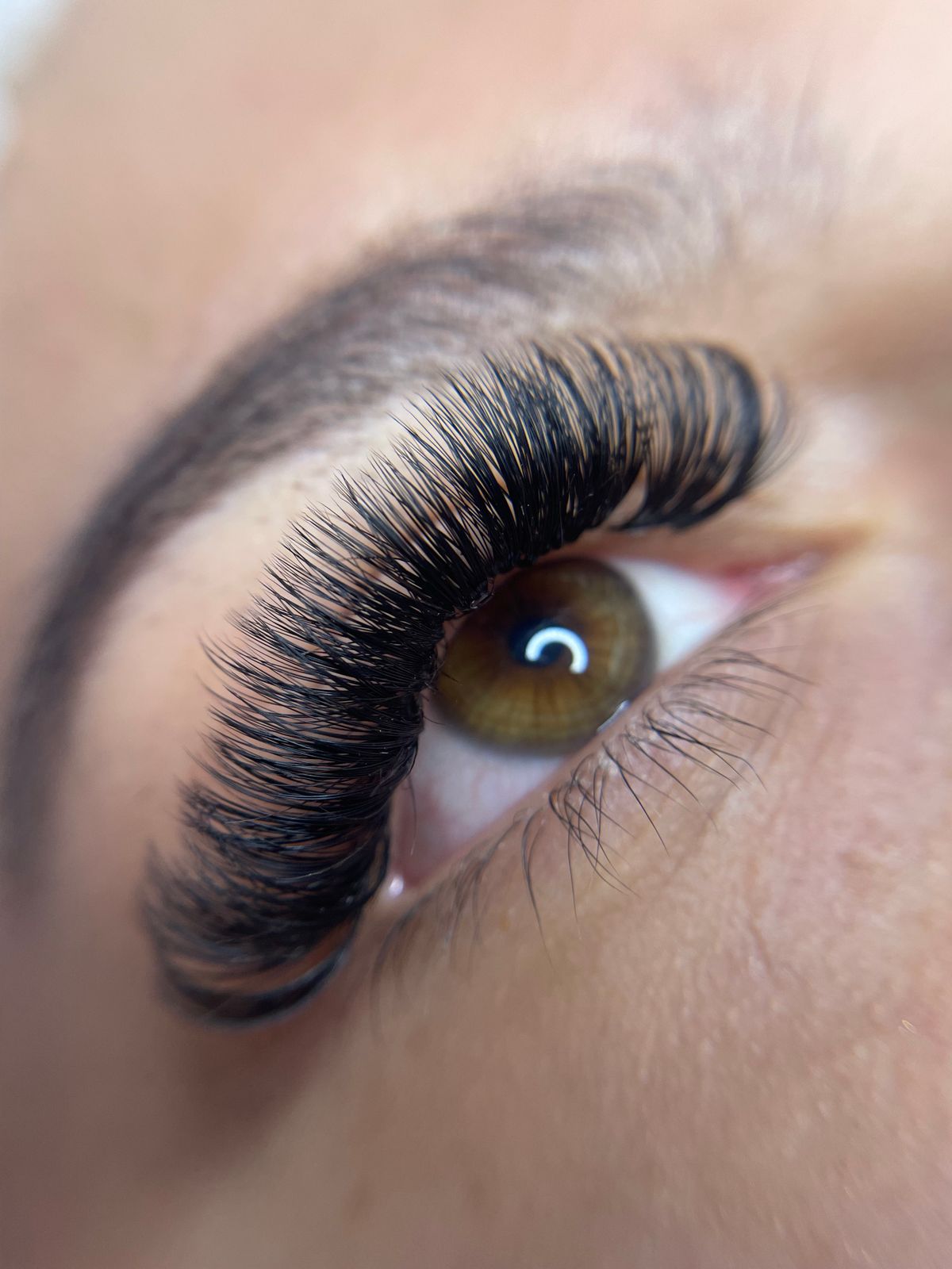 Close-up of an eye with premium volume eyelash extensions